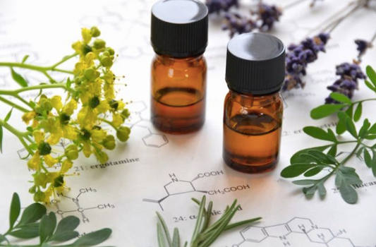 small vials of essential oils surrounded by chamomile and lavender flowers, both of which are used in Baby flavor of Boditonic